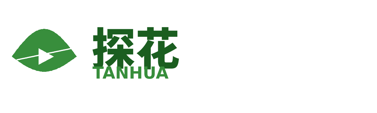 探花